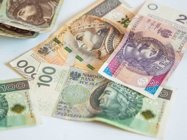 Polish currency