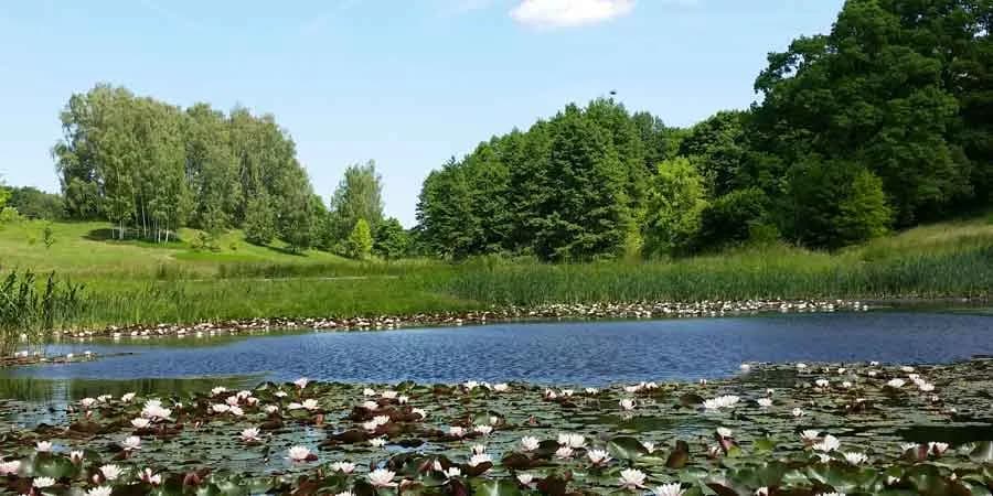 Myślęcinek Park (Park Myślęcinek) in Bydgoszcz
