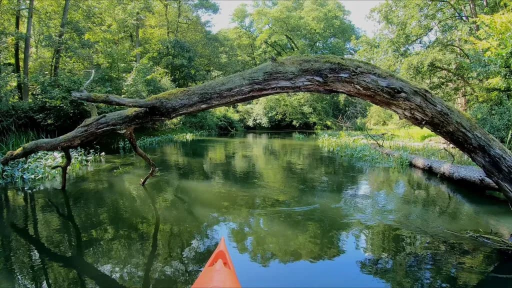 Kayaking on Obra River in Gorzow Wielkopolski