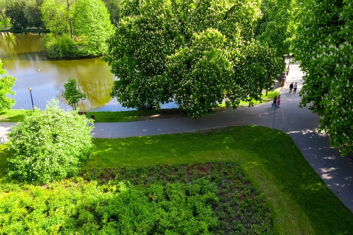 City Park (Park Miejski) in Gorzow Wielkopolski