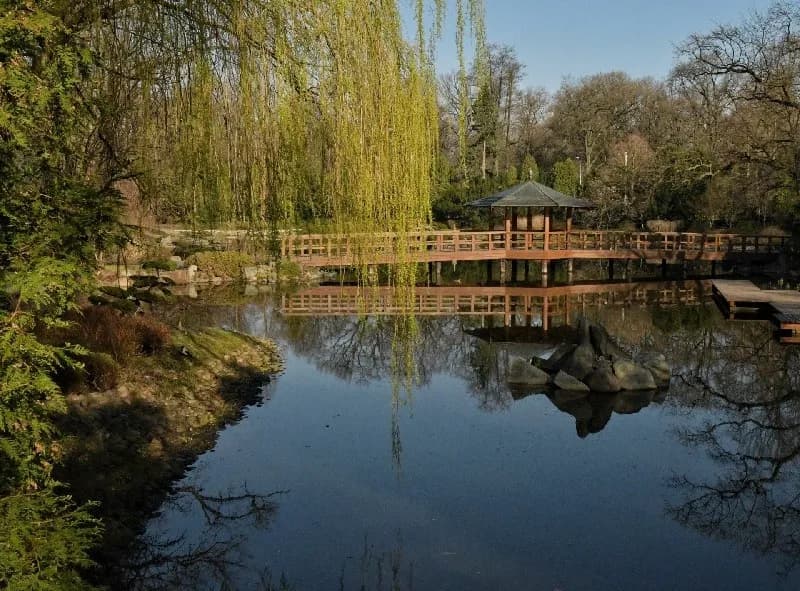 Japanese Garden in Wroclaw
