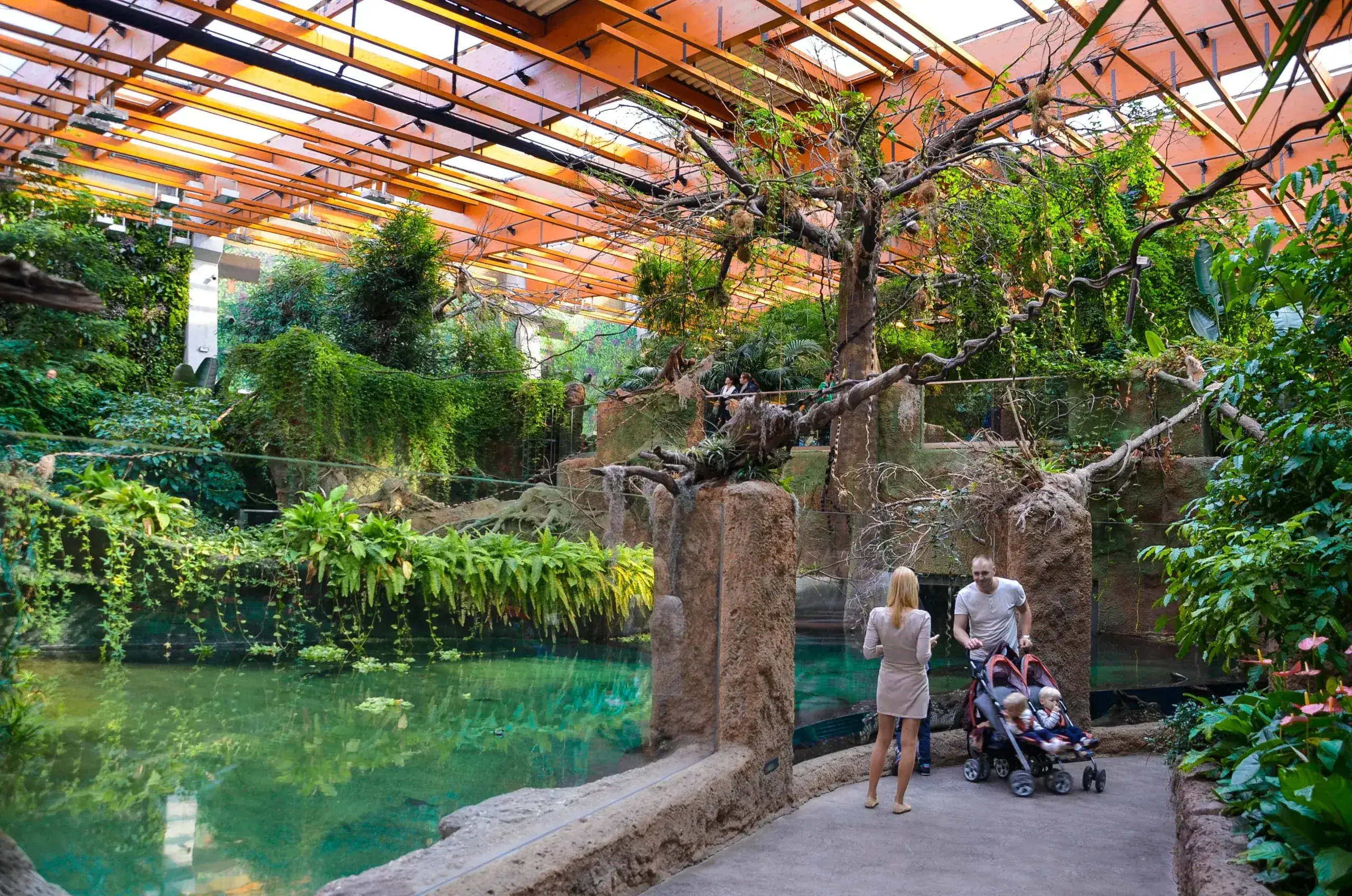 Oceanarium ZOO Wrocław, Afrykarium in Wroclaw